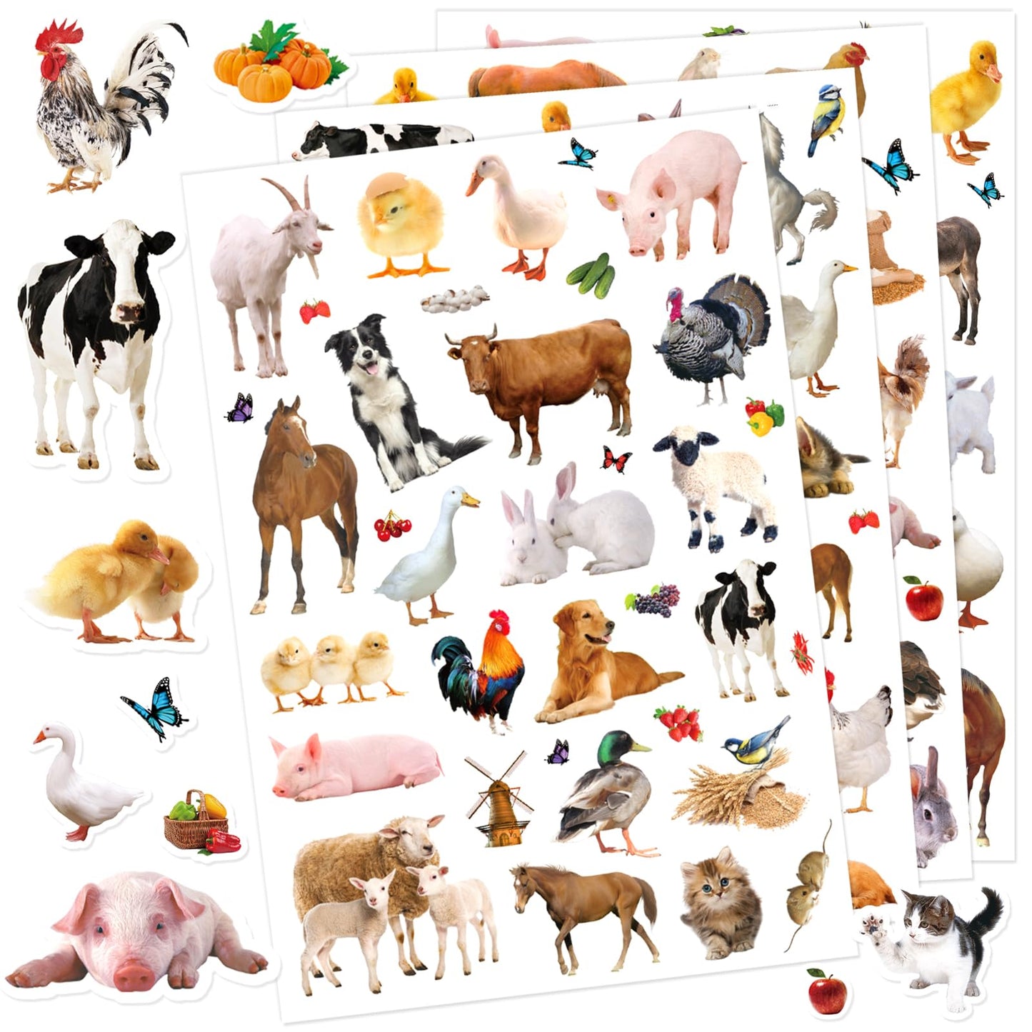 Pet Animals Stickers 660 Count Dog Cat Animal Pet Rabbit Parrot Fish Bird Reptiles Stickers Party Favors Gifts Sticky Decor for Scrapbook Calendar Planner Gift Wrap Decor