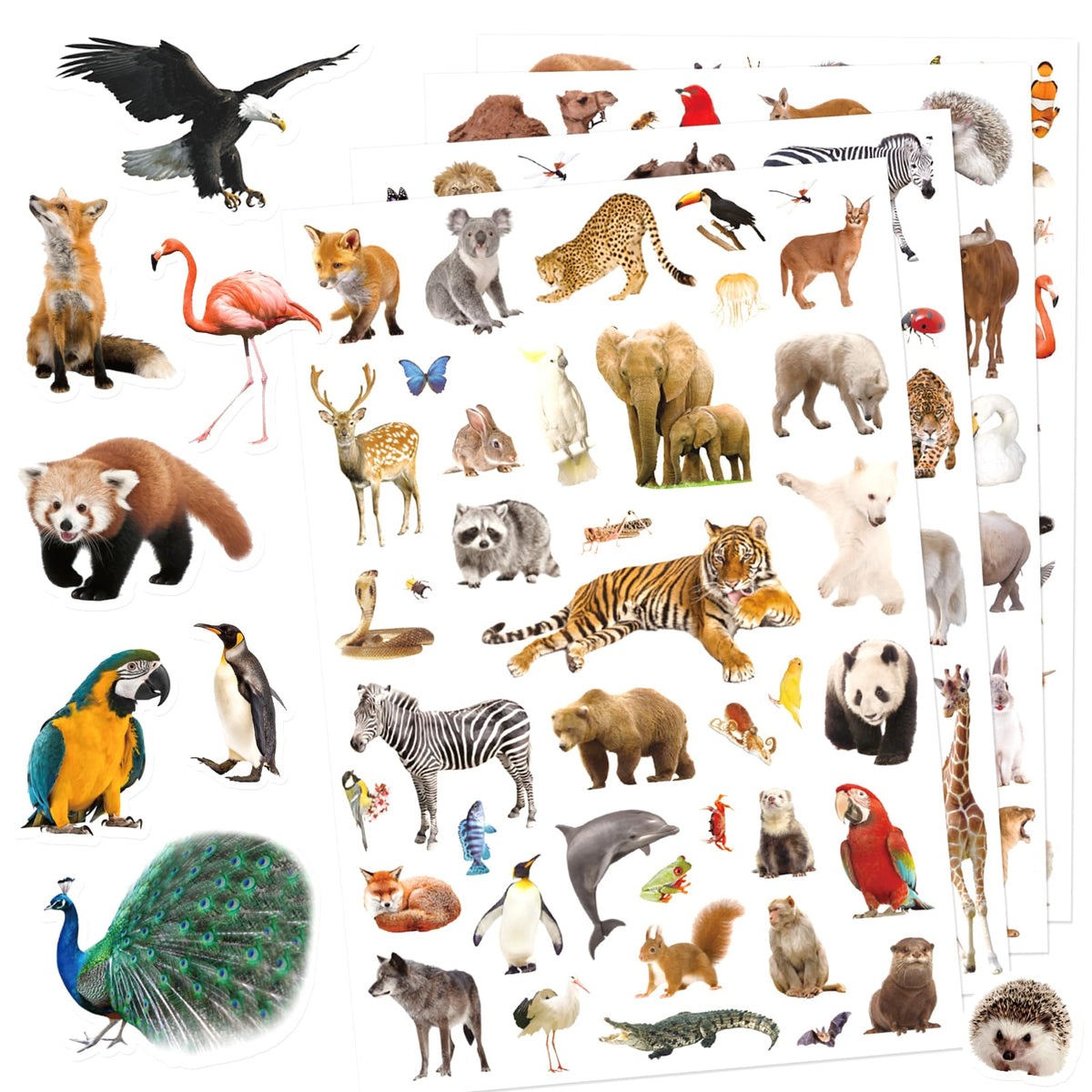 Pet Animals Stickers 660 Count Dog Cat Animal Pet Rabbit Parrot Fish Bird Reptiles Stickers Party Favors Gifts Sticky Decor for Scrapbook Calendar Planner Gift Wrap Decor