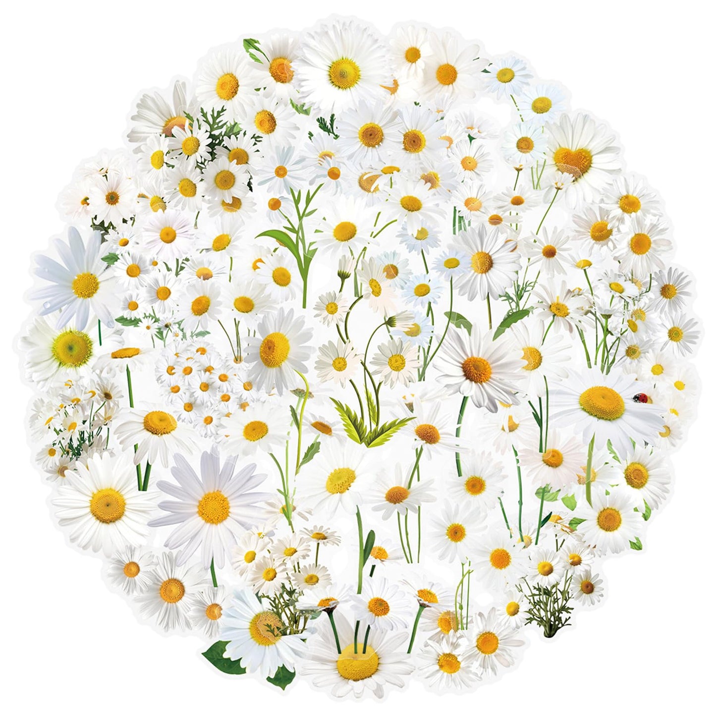 50 Pcs Green Plants PET Stickers Potted Plant Floral Sticker for Laptops Water Bottles Flower Pots Vases Decorative Phone Book Guitar Vinyl Decals for Kids Teens Adults (Plant)