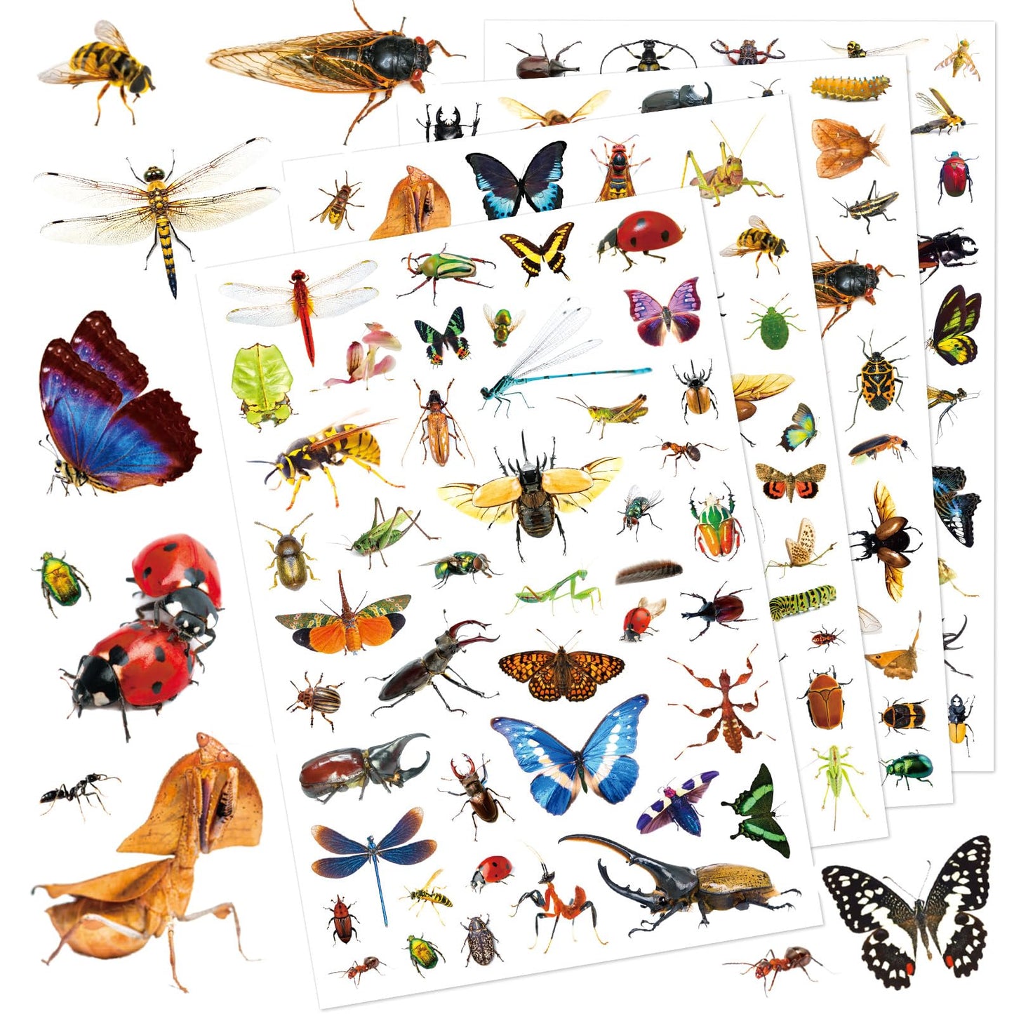 Pet Animals Stickers 660 Count Dog Cat Animal Pet Rabbit Parrot Fish Bird Reptiles Stickers Party Favors Gifts Sticky Decor for Scrapbook Calendar Planner Gift Wrap Decor