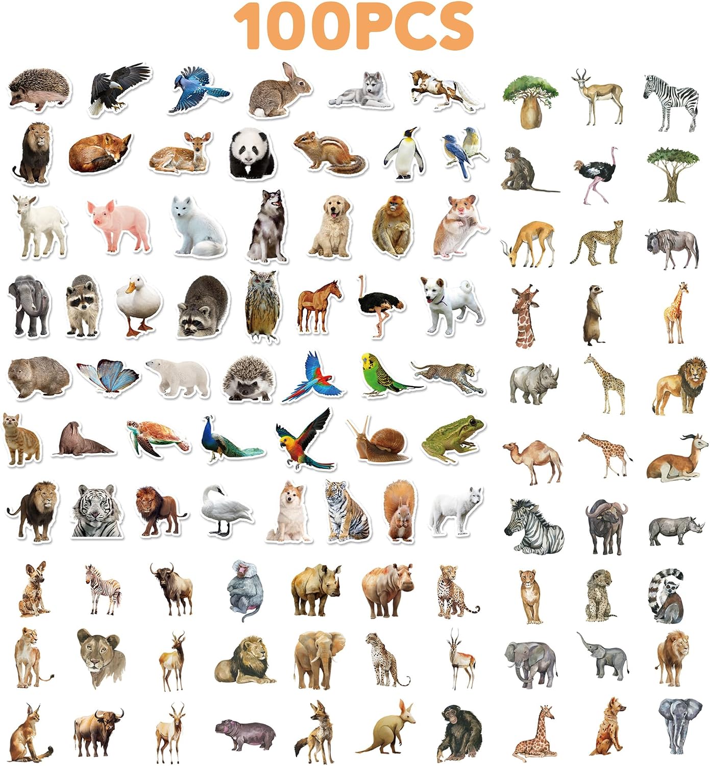 100 PCS Jungle Animal Stickers Safari Zoo Animal Wild One Stickers for Laptop Water Bottle Computer Refrigerator Luggage Phone Case Bicycle Teens (Jungle Animal)