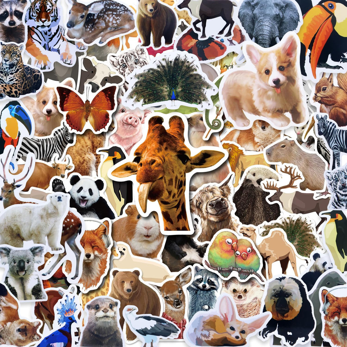 200Pcs Zoo Animal Stickers, Waterproof Self Adhesive Stickers Vinyl Wild Animal Water Bottle Sticker Set for Kids Women Wen
