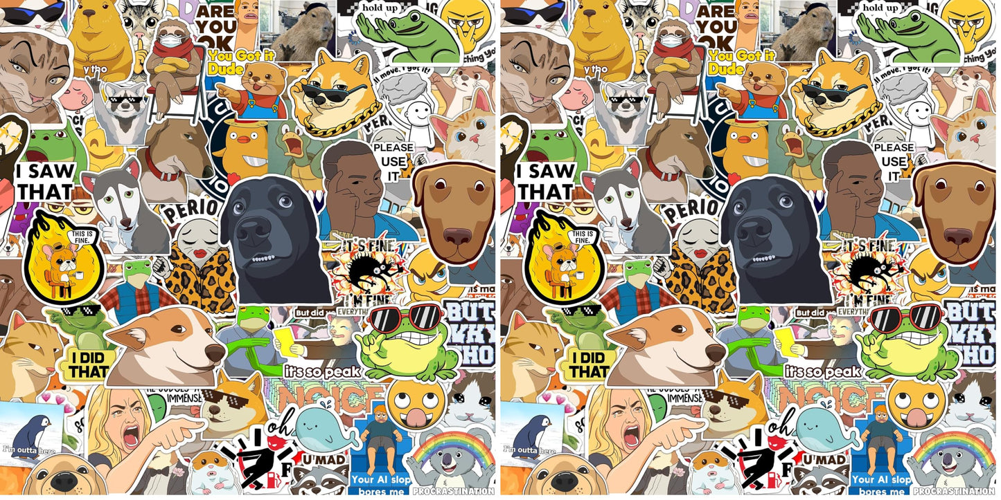 306pcs Funny Meme Vinyl Stickers Pack, Large Bulk Sticker for Laptop, Phone, Water Bottles, Computer Cars... Vine Sticker Decal DIY Décor for Bumper Accesory
